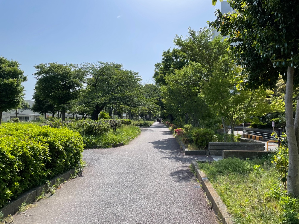花や緑がたくさん 川崎市幸区にある 緑道公園 で自然に癒されよう ハマ サキマガジン 鶴見 川崎の生活をレポートする地域情報メディア