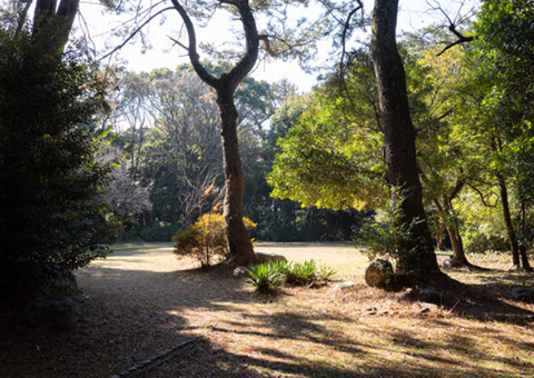 牛山公園