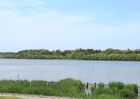 佐鳴湖公園北岸
