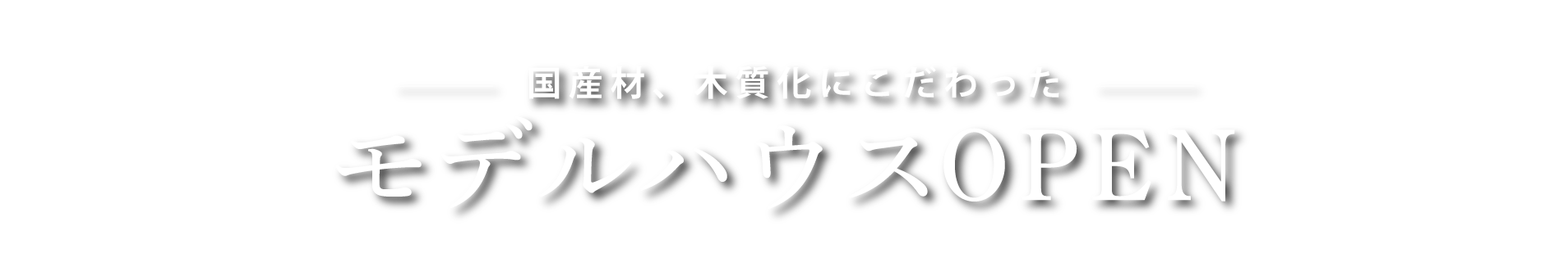 モデルハウスオープン