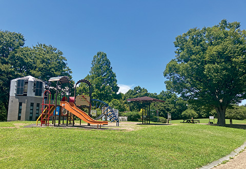 保土ヶ谷公園

