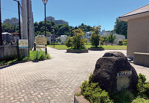 星川中央公園
