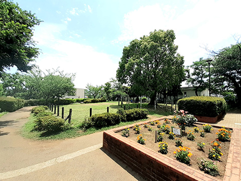 大倉山公園