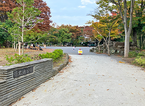 菊名池公園