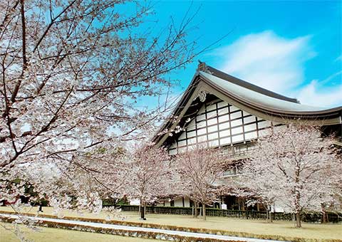 總持寺
