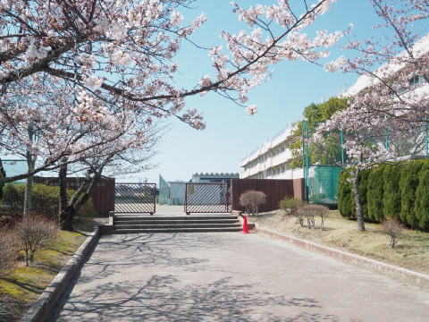 東向陽台小学校