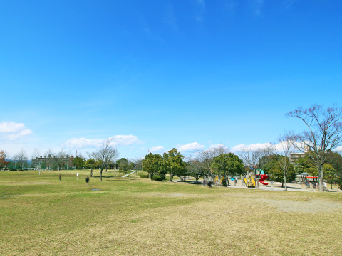 中田中央公園