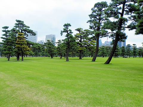 鶴ケ城公園