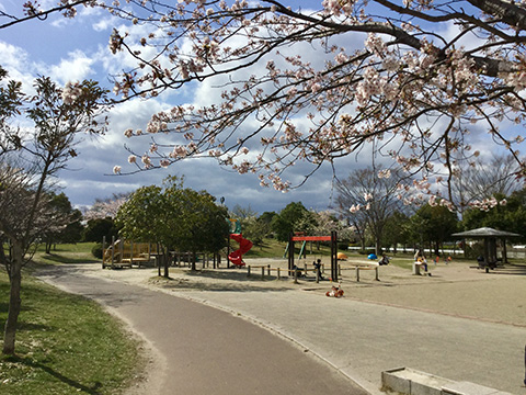 中田中央公園
