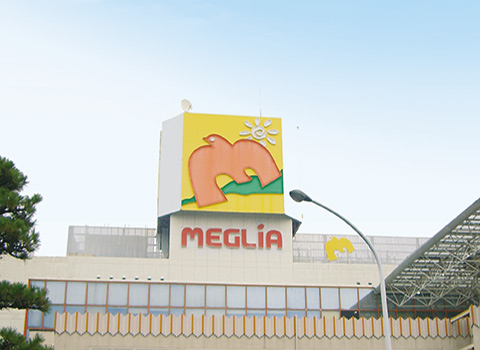 豊田メグリア 本店