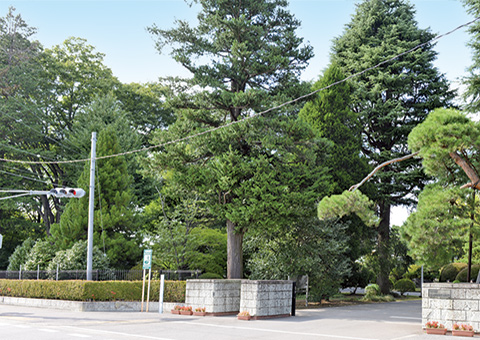 宇都宮中央高等学校