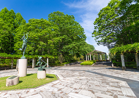 栃木県中央公園
