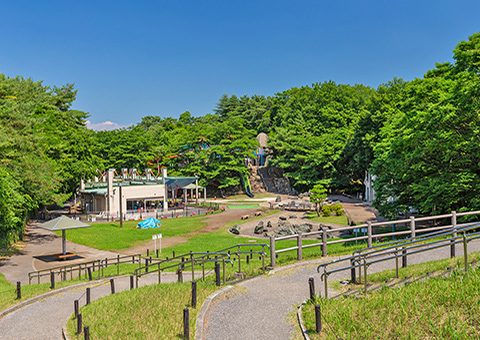 八幡山公園