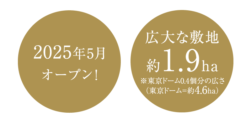 2025年5月オープン