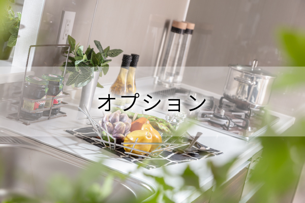 オプション