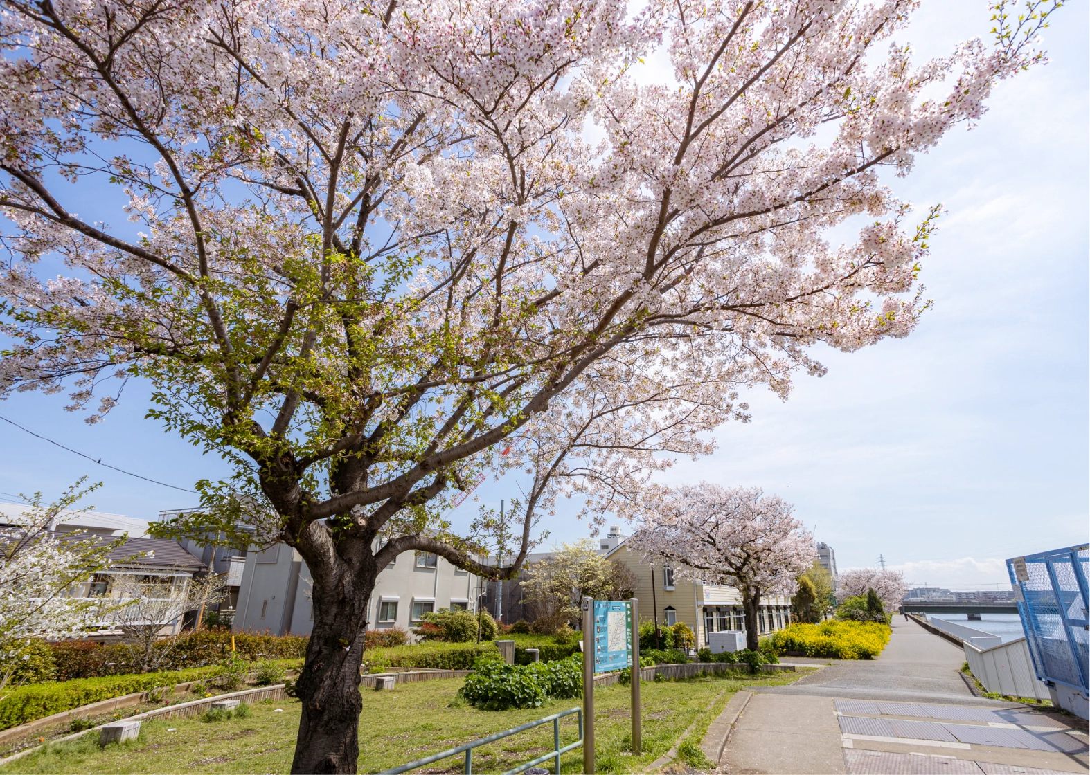 市場下町公園  約120ｍ （徒歩2分）