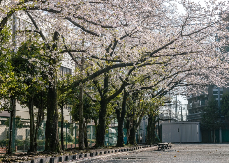 市場旧東海道公園  約360ｍ （徒歩5分）