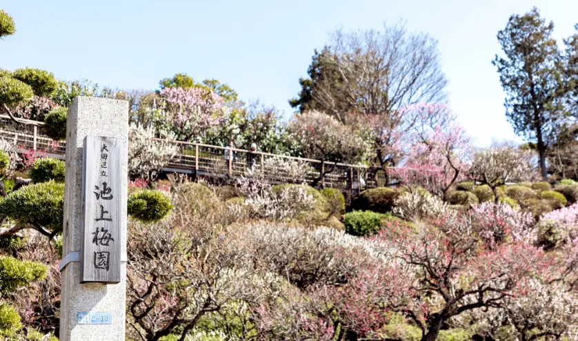 池上梅園