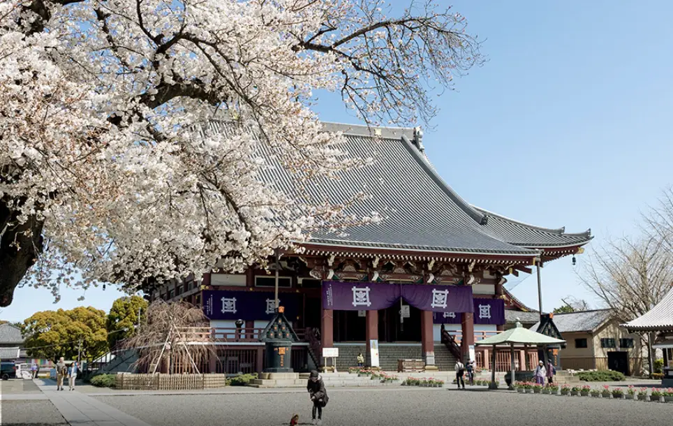 池上本門寺 image photo