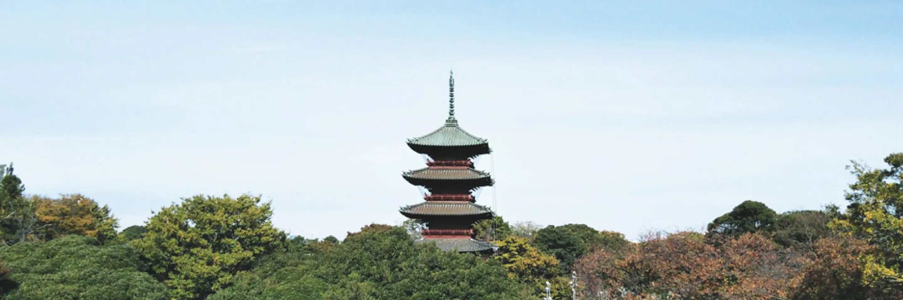 池上本門寺 image photo