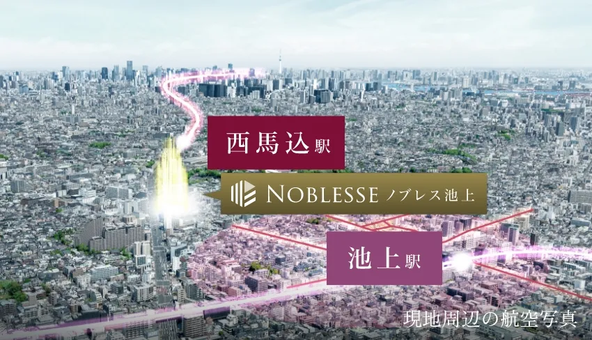 現地周辺の航空写真