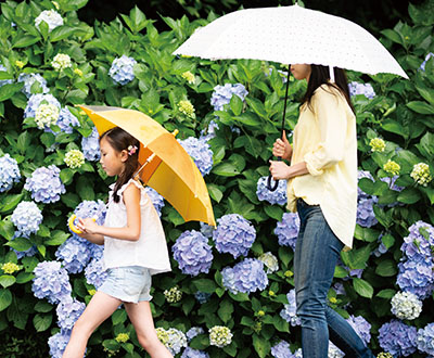 雨や雪の日に助かる