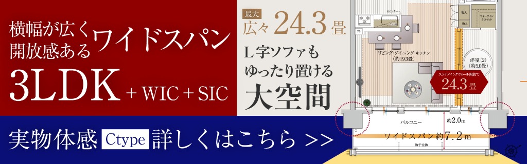 実物体感 Ctype 詳しくはこちら