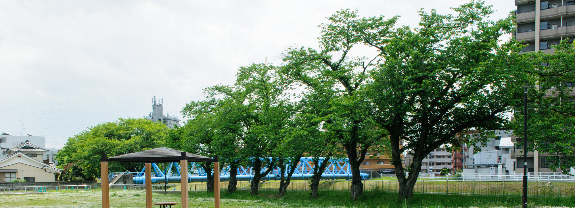 大野田イコタ公園／徒歩6分