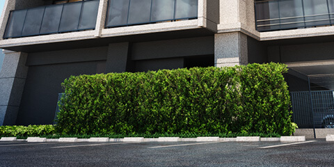 周辺との調和を醸成する基壇部の樹々の潤い