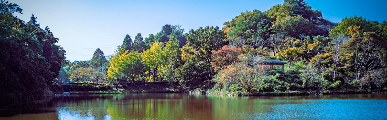 三ツ池公園
