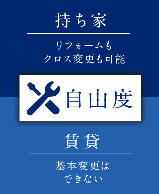 自由度