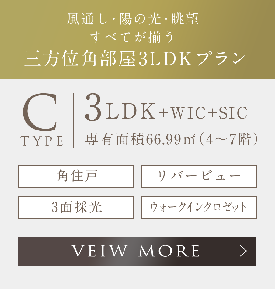 C type