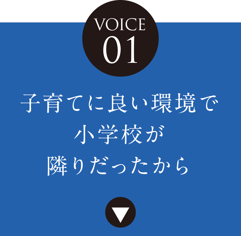 VOICE 01