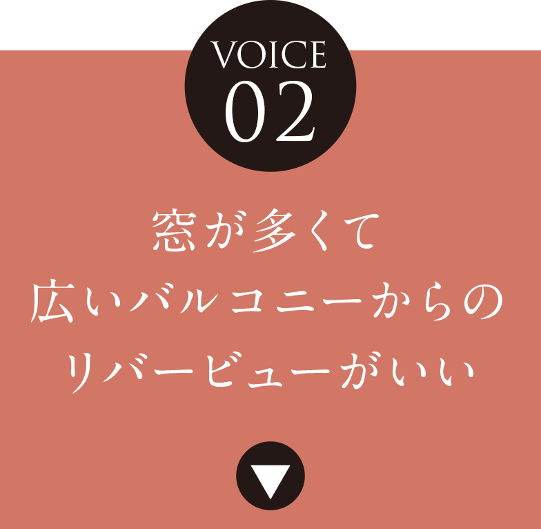 VOICE 02