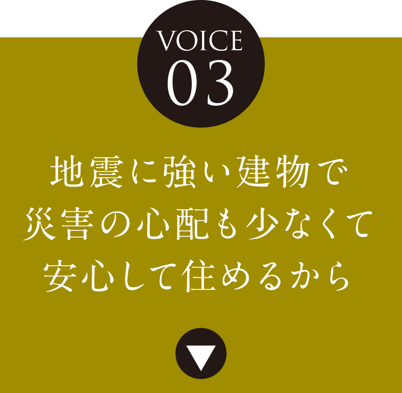 VOICE 03