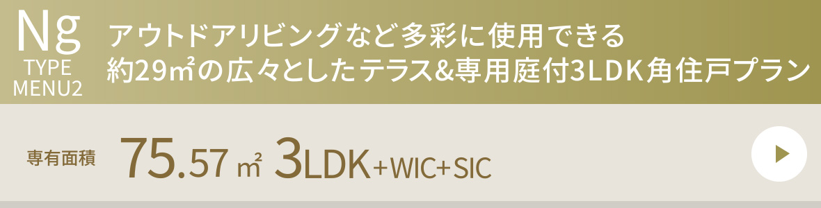 Ng TYPE MENU2