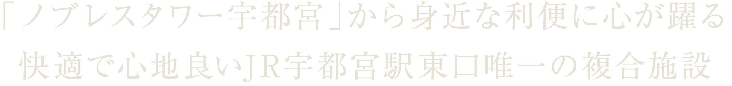 JR宇都宮駅東口唯一の複合施設