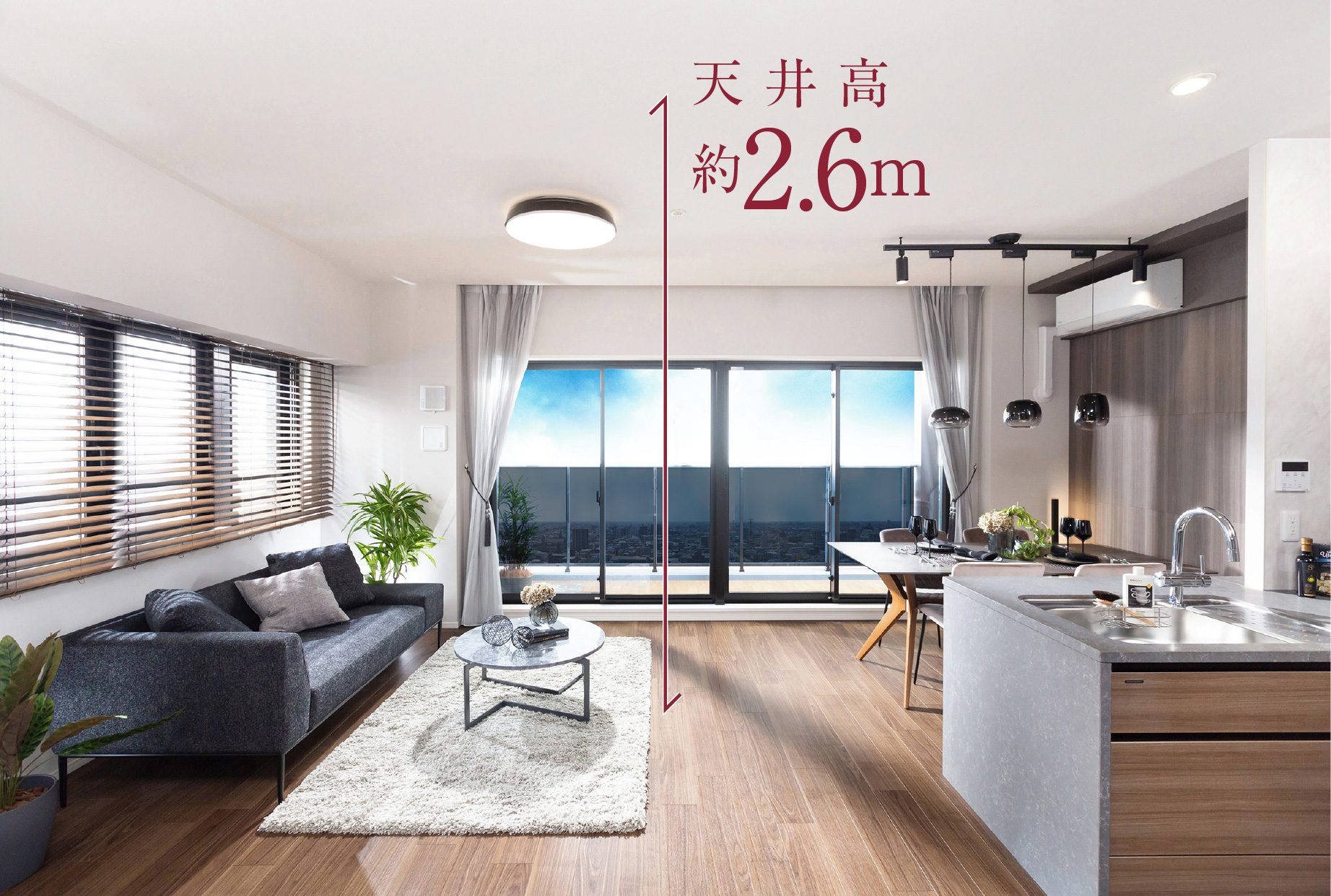天井高約2.6m