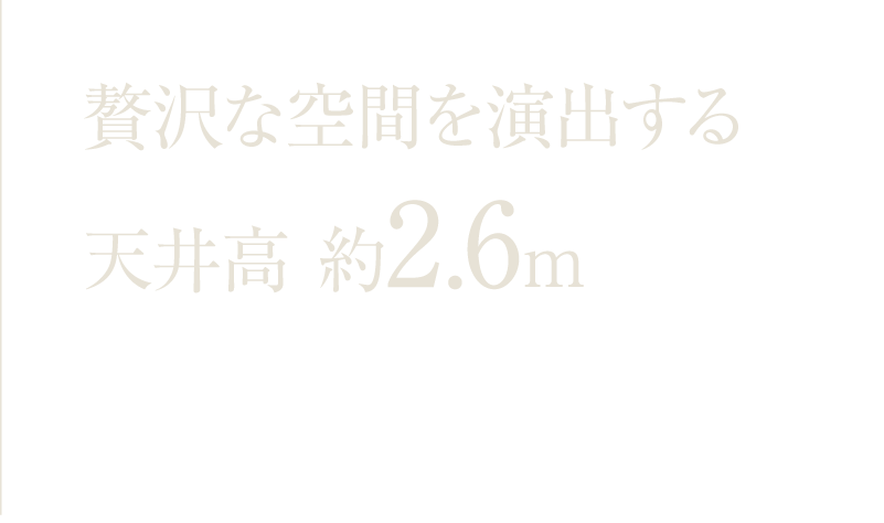 贅沢な空間を演出する天井高 約2.6m