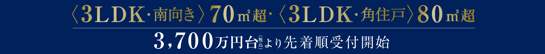 南向き3LDK3,700万円台よりご案内