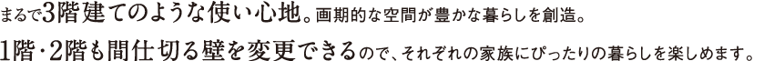 まるで3階建てのような使い心地。画期的な空間が豊かな暮らしを創造。1階・2階も間仕切る壁を変更できるので、それぞれの家族にぴったりの暮らしを楽しめます。