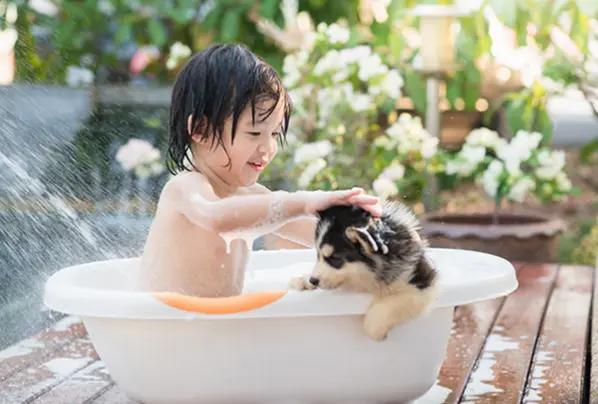 ペットの遊び場