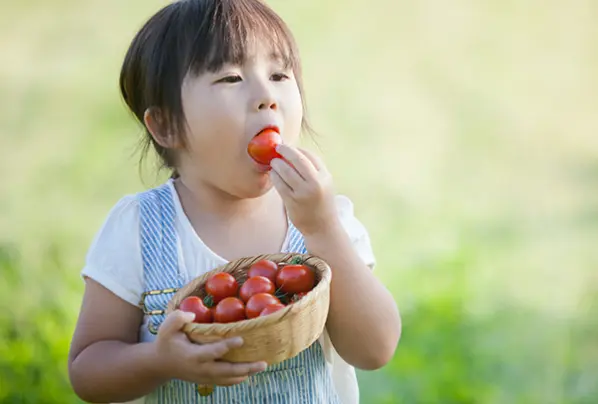 ミニ家庭菜園
