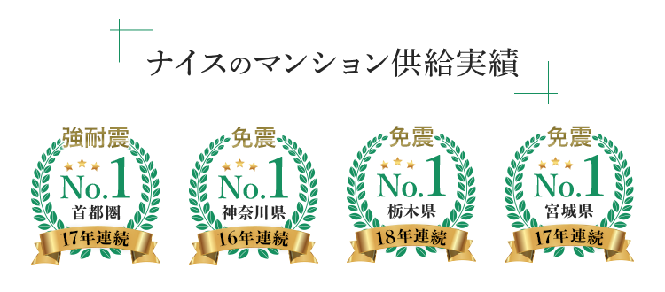 ナイスのマンション供給実績