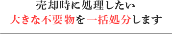 売却時に処理したい/大きな不要物を一括処分します