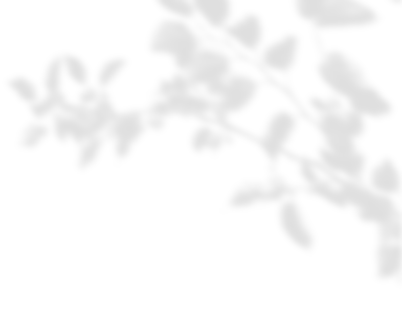 物件情報