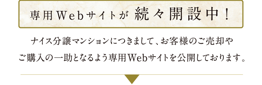 専用webサイト